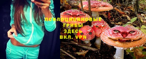 метадон Алексин