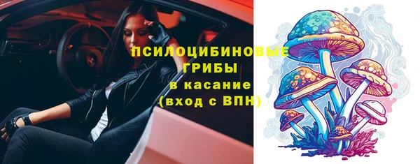 ГАЛЛЮЦИНОГЕННЫЕ ГРИБЫ Алексеевка