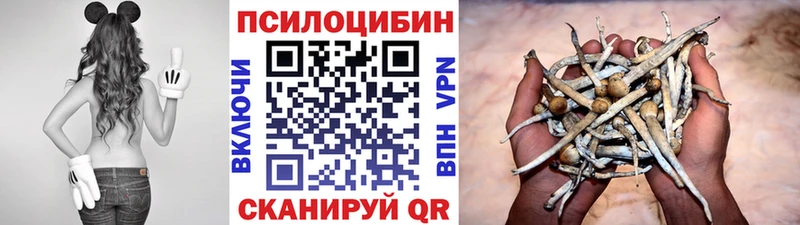 Псилоцибиновые грибы мухоморы  где найти   Новочебоксарск 
